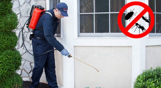 Ergene Hamam Böceği İlaçlama böcek ilaçlama ve haşere kontrolü — ilaclama-tr.com